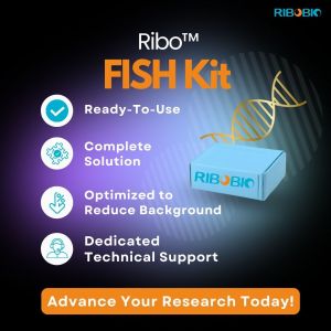 RiboBio FISH Kit product features showing ready-to-use capabilities, complete solution, background optimization, and technical support with DNA helix illustration