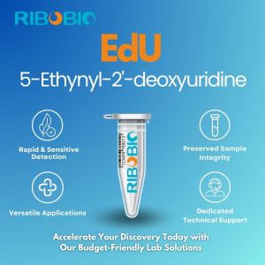 EdU Tool for Cell Proliferation Research