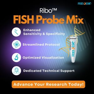 Ribo FISH Probe Mix vial containing fluorescent RNA detection solution shown against white background with Cy3 orange glow effect