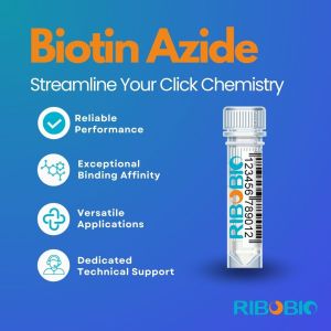 Biotin azide, a click chemistry reagent featuring a biotin core connected to an azide functional group for biological labeling applications