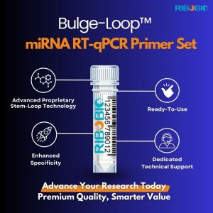 Bulge-Loop™ miRNA RT-qPCR Primer Set for sensitive and accurate miRNA quantification.