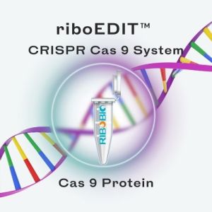 riboEDIT CRISPR Cas9 Protein product tube