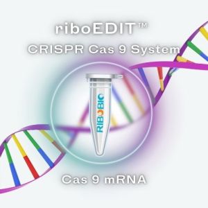 illustration of riboEDIT crispr cas9 mrna product
