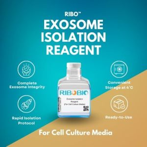 Ribo™ Exosome Isolation Reagent (For Cell Culture Media)