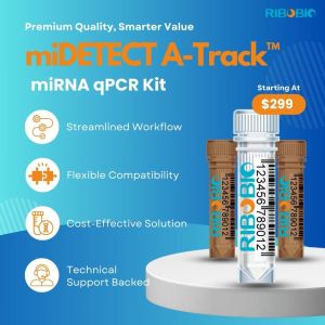 miDETECT A-Track™ miRNA qPCR Kit for sensitive and accurate miRNA quantification.