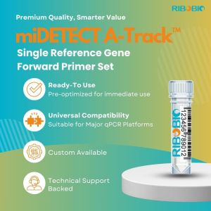 miDETECT™ A Track Single Reference Gene Forward Primer Set for accurate normalization in miRNA expression analysis.