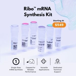Innovative mRNA Synthesis Kit for Advanced Research