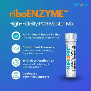 High Fidelity PCR Master Mix for accurate and efficient DNA amplification with minimal errors.