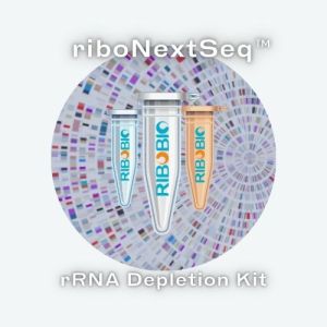 Illustration of the ribosomal RNA removal kit next-generation sequencing