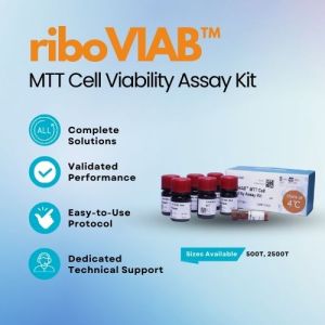 riboVIAB™ MTT Cell Viability Assay Kit - Accurate, Reliable Cell Viability Testing
