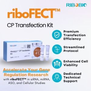 Ribofect CP Transfection Reagent for efficient and reliable gene delivery into mammalian cells.