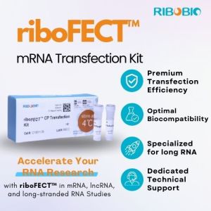 riboFECT mRNA Transfection Reagent for efficient and reliable mRNA, lncRNA, long-stranded RNA delivery into mammalian cells.