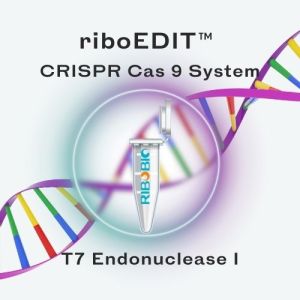 T7 endonuclease I enzyme tube shown at angle against white background, displaying product label