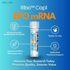 RiboBio Ribo Cap1 EPO mRNA product featuring four key benefits: N1-Me-pseudoU modification or Unmodified, Ready-To-Use format, Optimized ORF Sequences with EPO Expression, and Dedicated Technical Support, displayed with a central product vial illustration